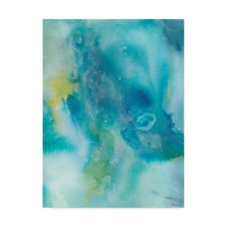 Trademark Fine Art Joyce Combs 'Sea Jade I' Canvas Art, 35x47 WAG07776-C3547GG